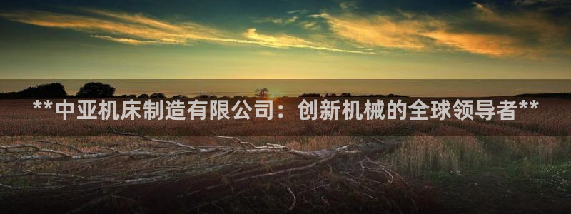 彩神争霸官网登录平台：**中亚机床制造有限公司：创新机械的全