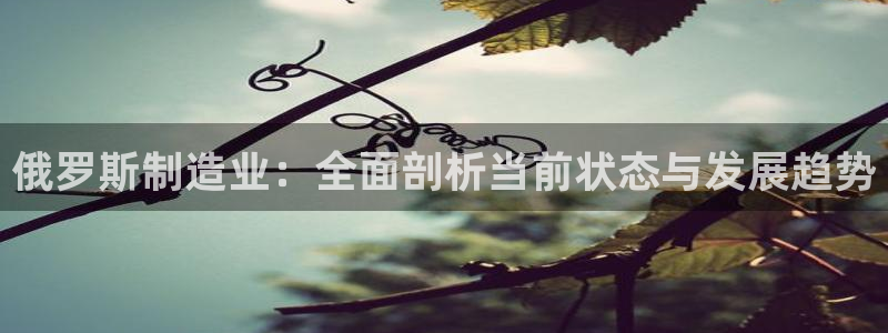 下载彩神通关注码：俄罗斯制造业：全面剖析当前状态与发展趋势