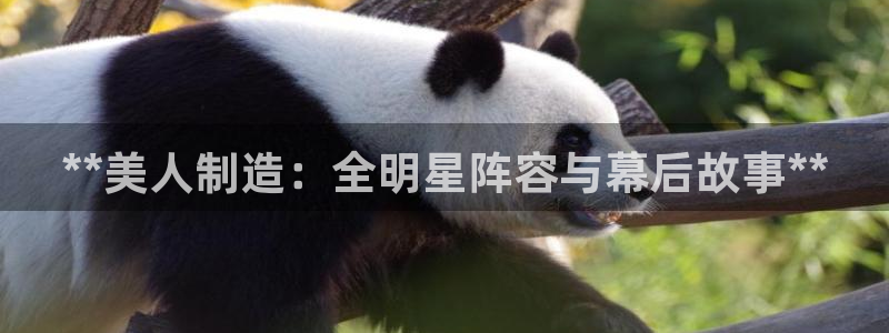 彩神平台：**美人制造：全明星阵容与幕后故事**