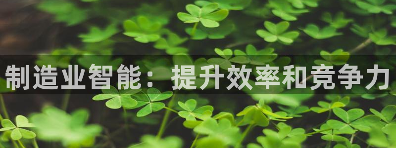 彩神v8平台正规吗：制造业智能：提升效率和竞争力