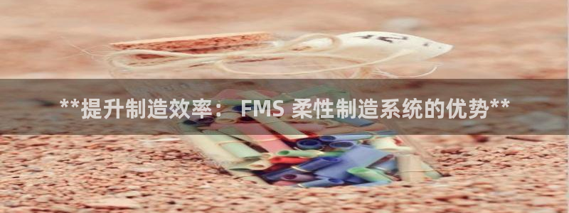 彩神通官方网：**提升制造效率： FMS 柔性制造系统的优势**