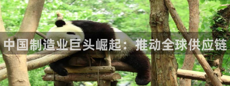 彩神争霸官网登录平台：中国制造业巨头崛起：推动全球供应链