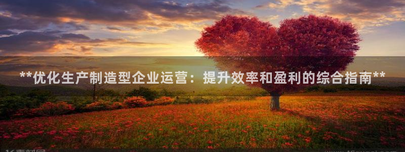 彩神v8有多久了?靠谱吗：**优化生产制造型企业运营：提升效率和盈利的综合指南**