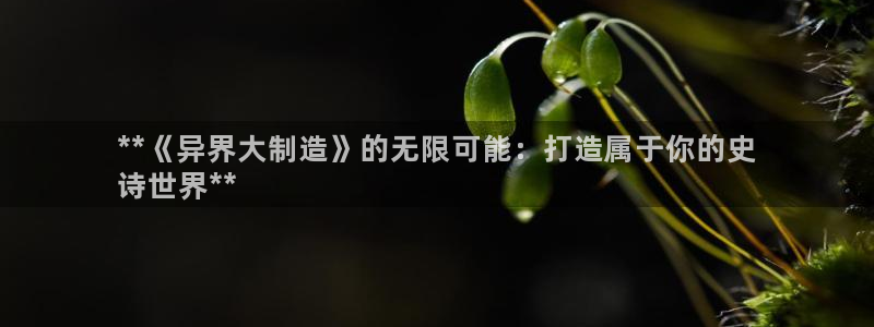 彩神v8是真的挣钱吗知乎：**《异界大制造》的无限可能：打造属于你的史
诗世界**