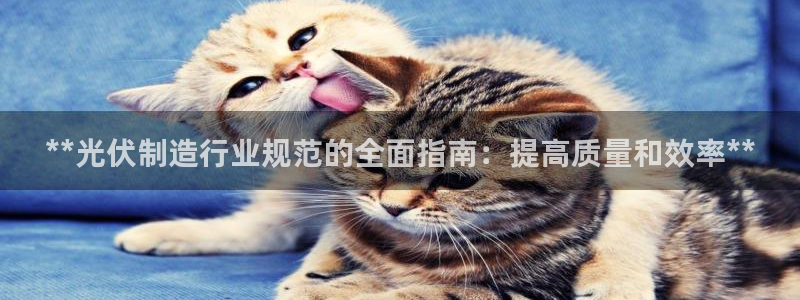 彩神平台之间是什么关系
