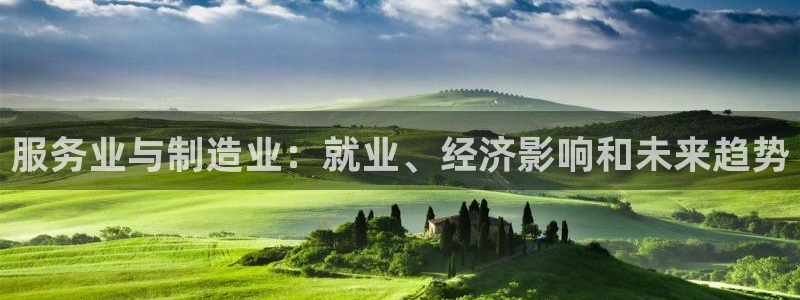 天天彩神welcome：服务业与制造业：就业、经济影响和未来趋势