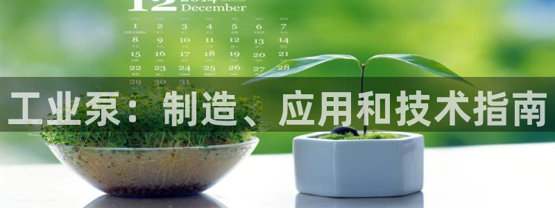 彩神赢的钱是哪里来的