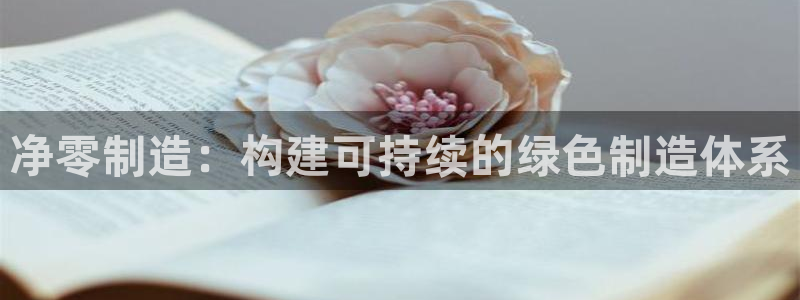 彩神v集团有限公司