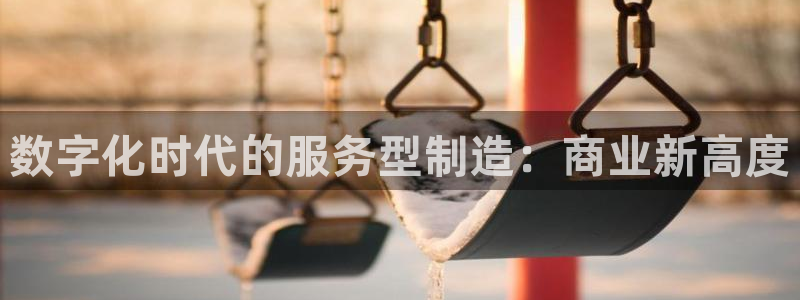 彩神vii官网大赢家：数字化时代的服务型制造：商业新高度