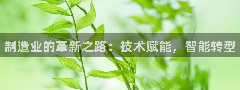 彩神大发cp：制造业的革新之路：技术赋能，智能转型