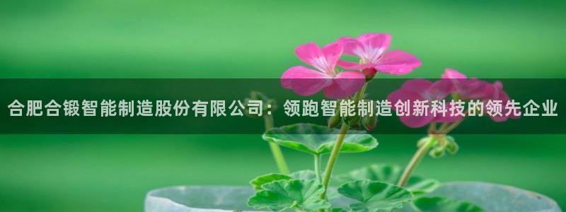 彩神v8平台正规吗可靠吗：合肥合锻智能制造股份有限公司：领跑智能制造创新科技的领先企业