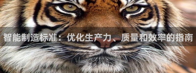 彩神v8购彩大厅登：智能制造标准：优化生产力、质量和效率的指南