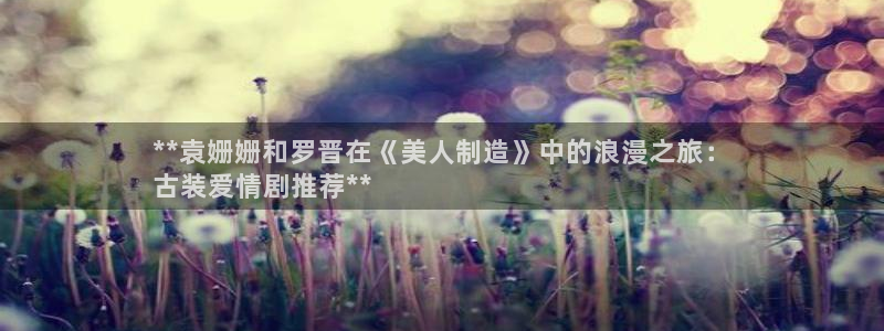 彩神ⅴll用户登录：**袁姗姗和罗晋在《美人制造》中的浪漫之旅：
古装爱情剧推荐**