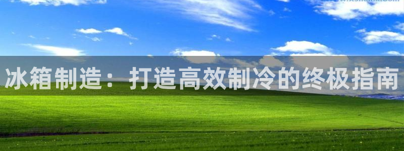 彩神广告有限公司：冰箱制造：打造高效制冷的终极指南