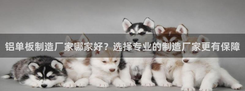 彩神客服电话