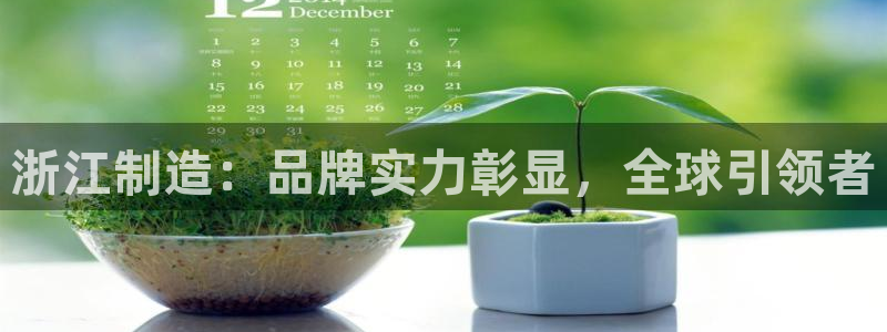 彩神v8平台正规吗：浙江制造：品牌实力彰显，全球引领者