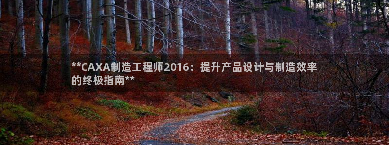 新版彩神v8登录教程：**CAXA制造工程师2016：提升产品设计与制造效率
的终极指南**