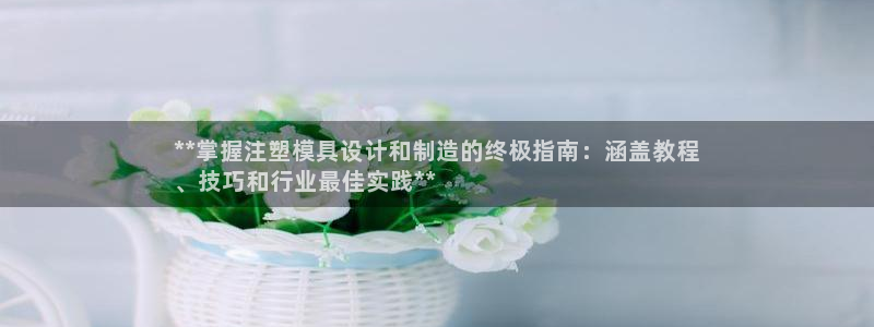 彩神平台：**掌握注塑模具设计和制造的终极指南：涵盖教程
、技巧和行业最佳实践**
