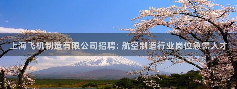 彩神新微聊：上海飞机制造有限公司招聘: 航空制造行业岗位急需人才
