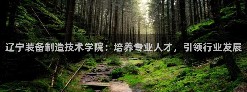 有谁知道彩神争霸的网址：辽宁装备制造技术学院：培养专业人才，引领行业发展