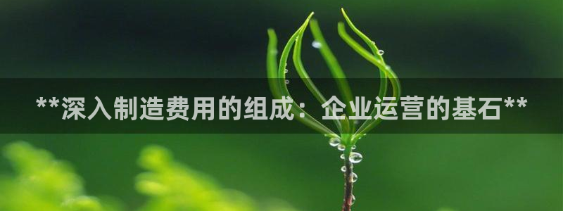彩神赢钱了吗知乎：**深入制造费用的组成：企业运营的基石**