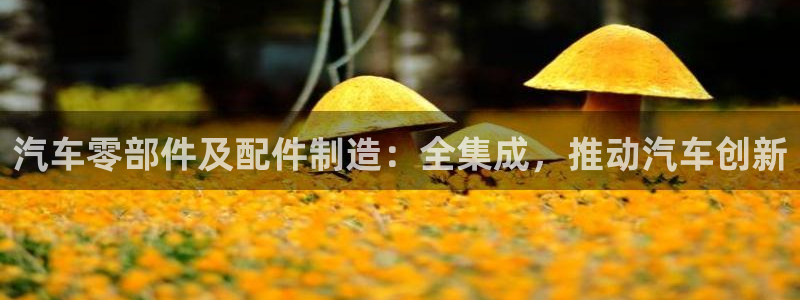 彩神8彩平台：汽车零部件及配件制造：全集成，推动汽车创新