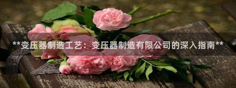 彩神vlll游戏特色：**变压器制造工艺：变压器制造有限公司的深入指南**