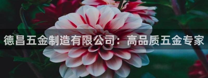 下载彩神v8：德昌五金制造有限公司：高品质五金专家