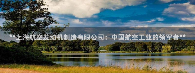 彩神是正规平台吗安全吗：**上海航空发动机制造有限公司：中国航空工业的领军者**
