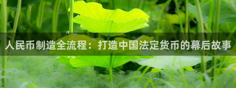 新版彩神v8登录不了：人民币制造全流程：打造中国法定货币的幕