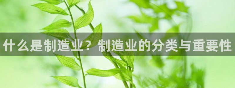 彩神8app官方下载：什么是制造业？制造业的分类与重要性