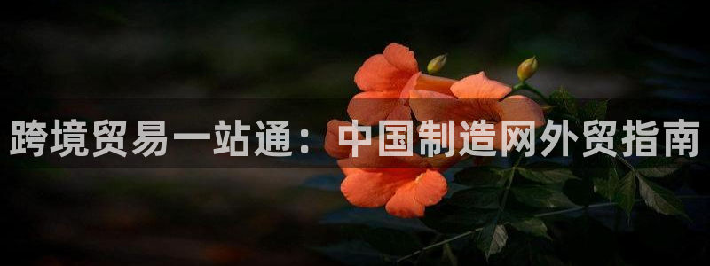 彩神用户登录：跨境贸易一站通：中国制造网外贸指南