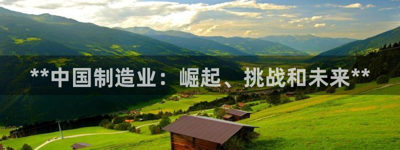 彩神app能挣到钱吗：**中国制造业：崛起、挑战和未来**