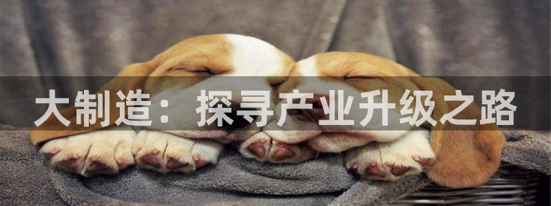 下载彩神通关注码：大制造：探寻产业升级之路