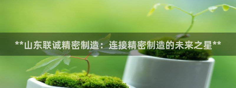 彩神是正规平台吗安全吗：**山东联诚精密制造：连接精密制造的未来之星**