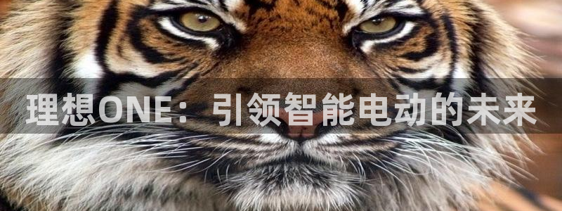 彩神V8平台：理想ONE：引领智能电动的未来