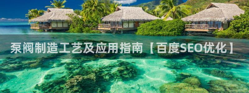 彩神网合法吗：泵阀制造工艺及应用指南【百度SEO优化】