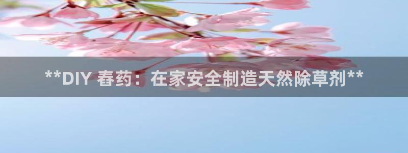 彩神v争霸有限公司：**DIY 舂药：在家安全制造天然除草剂**