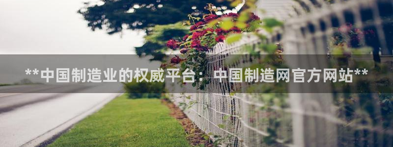 彩神争霸官方登录：**中国制造业的权威平台：中国制造网官方网站**