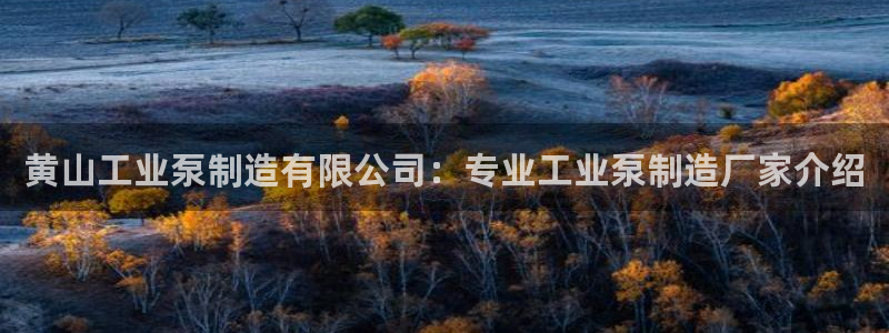 彩神争霸官方下载2017：黄山工业泵制造有限公司：专业工业泵制造厂家介绍