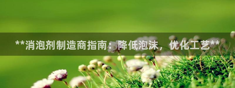 彩神viii官网：**消泡剂制造商指南：降低泡沫，优化工艺**