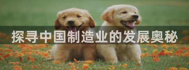彩神网正规吗：探寻中国制造业的发展奥秘