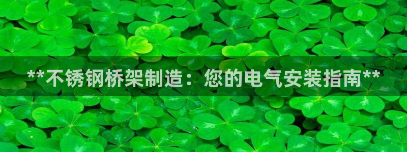 彩神通关注码金码对应码：**不锈钢桥架制造：您的电气安装指南**
