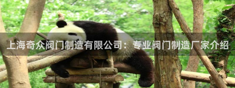 彩神v1官网：上海奇众阀门制造有限公司：专业阀门制造厂家介绍