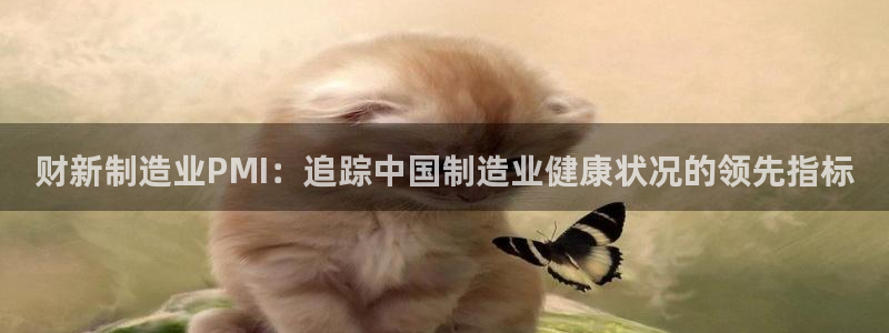彩神vll购彩大厅大众：财新制造业PMI：追踪中国制造业健康状况的领先指标