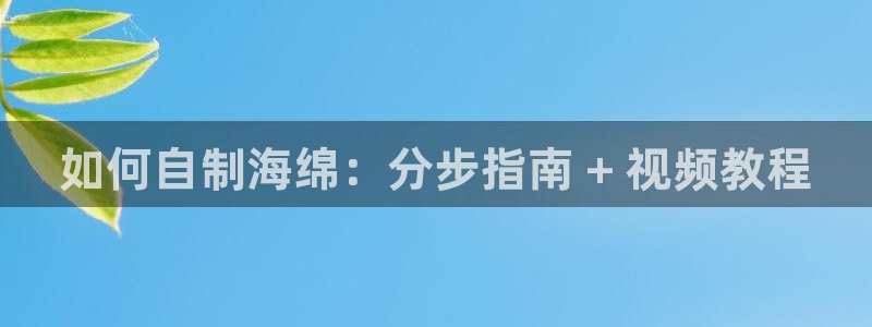 彩神v8是一个什么平台：如何自制海绵：分步指南 + 视频教程