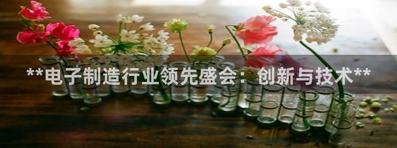 彩神vll趣投彩：**电子制造行业领先盛会：创新与技术**