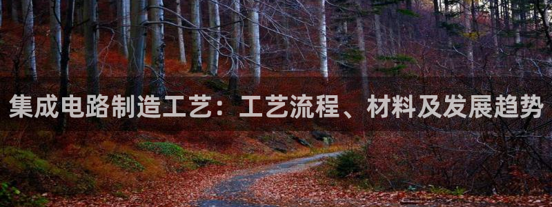 彩神大发是不是人为操作：集成电路制造工艺：工艺流程、材料及发展趋势