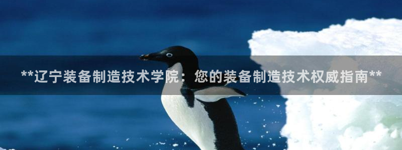 下载彩神v8：**辽宁装备制造技术学院：您的装备制造技术权威指南**