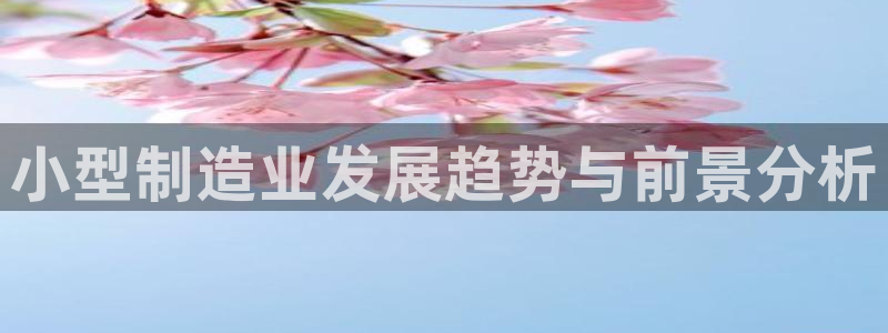彩神怎么样可以提现：小型制造业发展趋势与前景分析